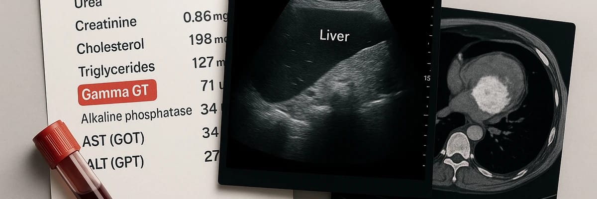 Image de l'article Quels examens demander en cas de Gamma GT élevé ?